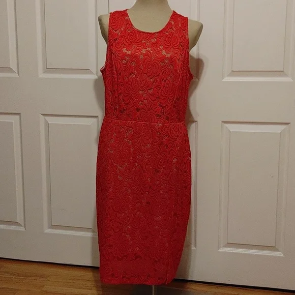 cameo red dress Cameo Batwing Knit Midi Dress Camel